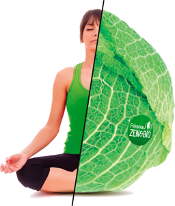 Visuel Zen & Bio