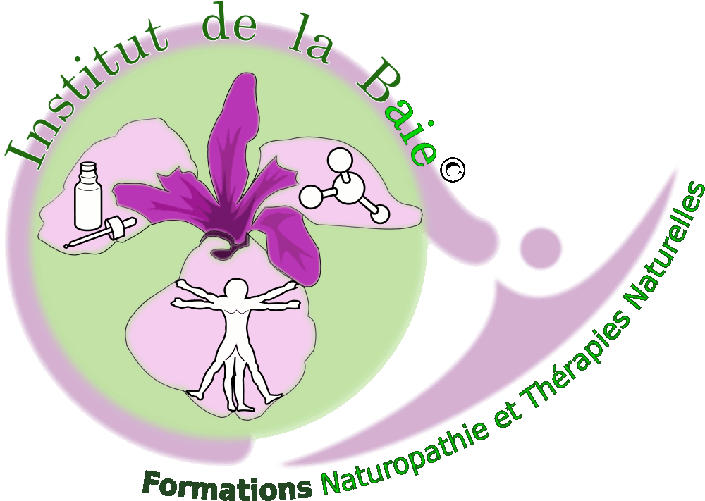 Institut de la Baie Logo