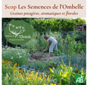 Les Semences de l’Ombelle- affiche