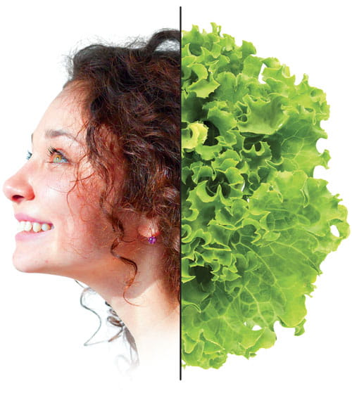 Visuel salon ZEN&BIO