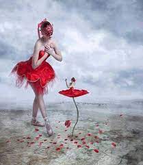 Le chemin des mots-illustration