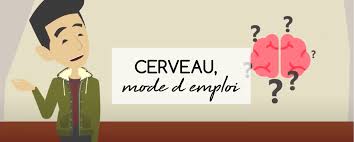 Le chemin des mots-cerveau