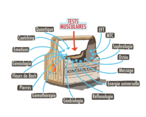 Ecole de kinésiologie instinctive boite a outil