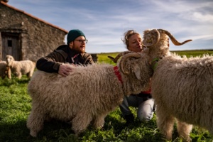 Mohair du Larzac - famille 