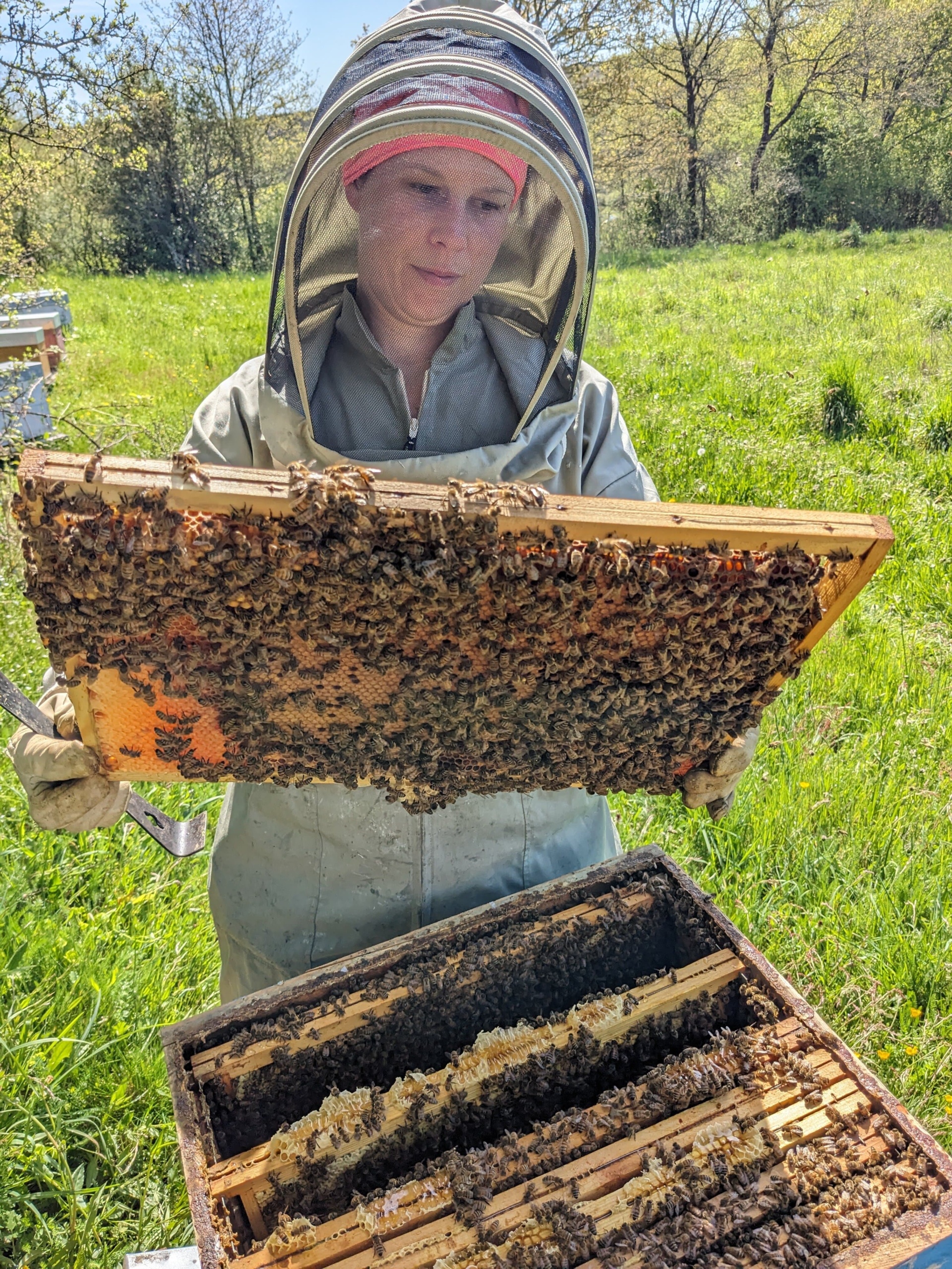 La Mélodie des Abeilles - ruche femme