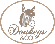 donkey & co