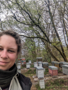 La Mélodie des Abeilles - dame